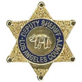 Los Angeles County Deputy Sheriff Star Pin