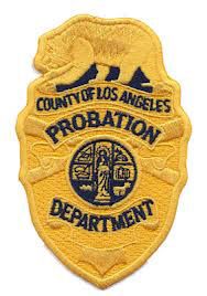 Los Angeles County Probation Department Patch